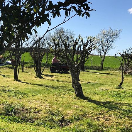 Les Geais Bed & Breakfast Saint-Pierre-la-Noue Luaran gambar