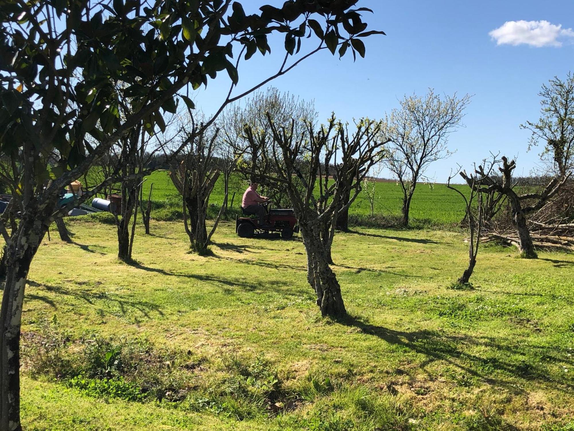 Les Geais Bed & Breakfast Saint-Pierre-la-Noue Luaran gambar